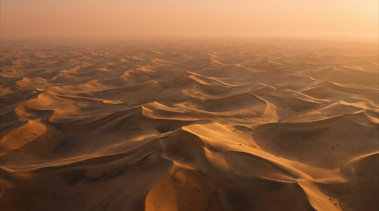 مشهد 1: المملكة العربية السعودية